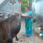 WhatsApp Image 2025-10-29 at 17.40.29_fc094171