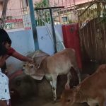 WhatsApp Image 2025-10-29 at 18.33.47_fa561a43