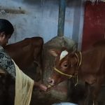 WhatsApp Image 2025-10-29 at 18.36.19_451fb24f