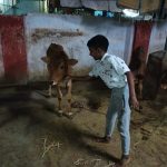 WhatsApp Image 2025-10-29 at 18.36.21_3c026e57