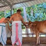 WhatsApp Image 2025-10-30 at 13.10.43_2b31077a