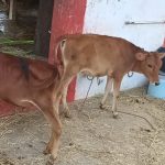 WhatsApp Image 2025-11-03 at 2.57.14 PM (3)