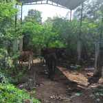 WhatsApp Image 2025-11-03 at 2.57.15 PM (2)