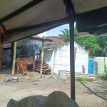 WhatsApp Image 2025-11-03 at 2.57.15 PM (3)