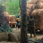 IMG_20260410_123519_9