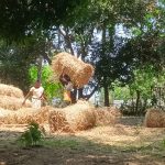 IMG_20260410_131204_2