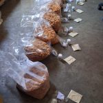 WhatsApp Image 2026-04-01 at 12.41.39 PM